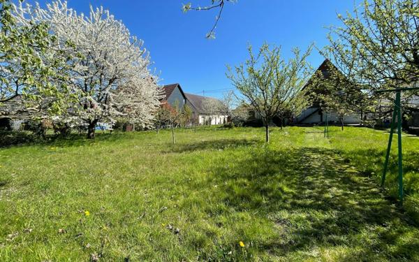 Maison à vendre    4 pièces • 110 m2 Drusenheim