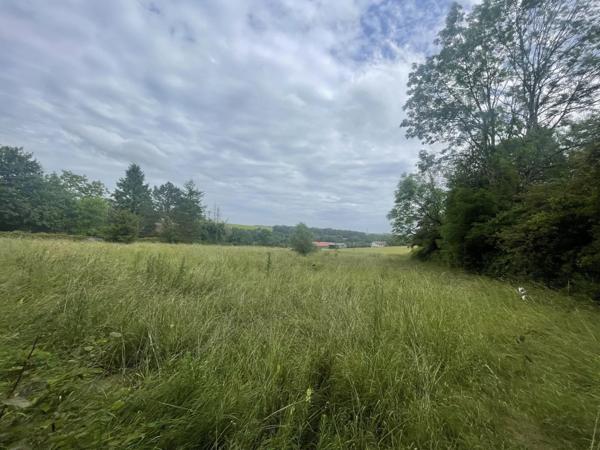 Vente Immeuble à Dainville-Bertheléville