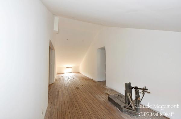 SUPERBE PROPRIETE AVEC MAISON DE MAÎTRE RENOVEE A PROXIMITE DE LAVAUR