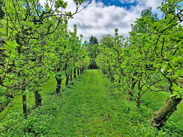 Maison Montreuil Juigne 5 pièce(s)
