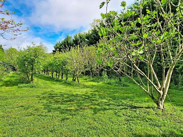 Maison Montreuil Juigne 5 pièce(s)