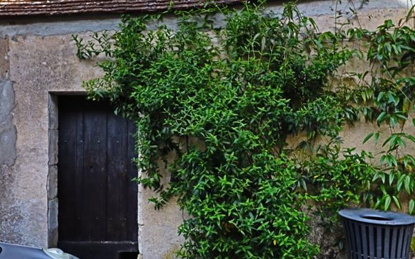 Maison à vendre    3 pièces • 72 m2 Sancerre