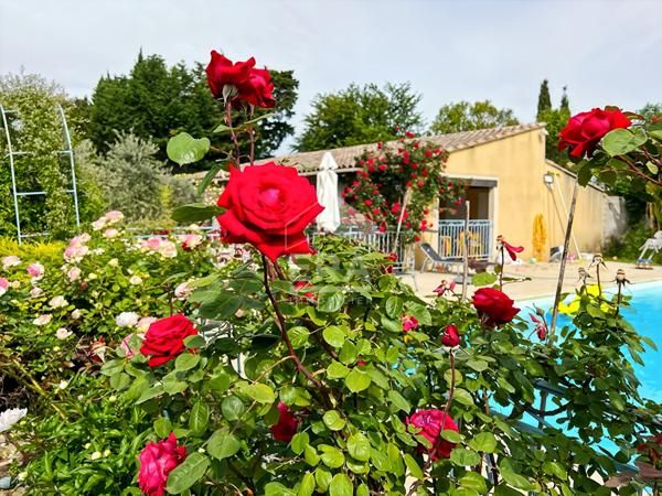 CHATEAURENARD - Maison 385 m2 6 chambres et piscine