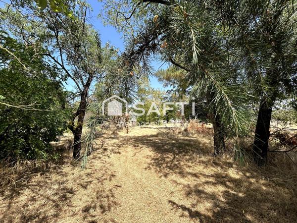 Pavillon sur sous-sol intégral avec fort potentiel