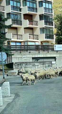 Studio meublé au pied des pistes Orcieres Marlette