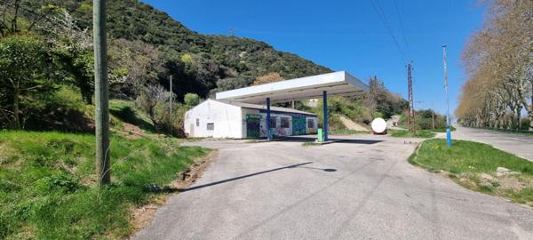 Immeuble  4 pièce(s) 220 m2