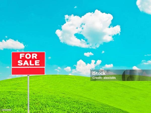 Terrain à vendre LESIGNY (86)