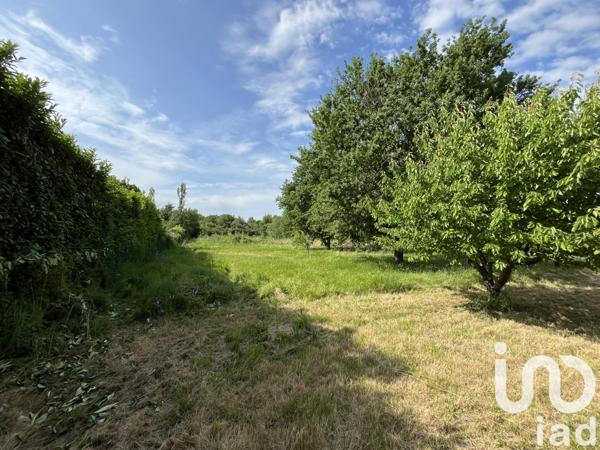 Maison à vendre 4 pièces 104 m² Gaillac