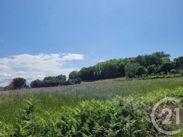 Terrain à vendre  4315 m 2   BENQUE MOLERE  - 65