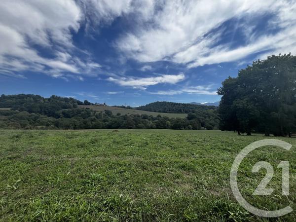 Terrain à vendre  4315 m 2   BENQUE MOLERE  - 65