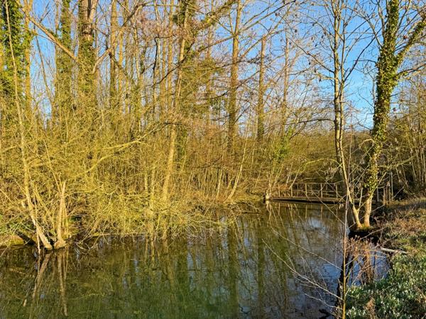 Demeure de Maître à 15min de Cambrai
