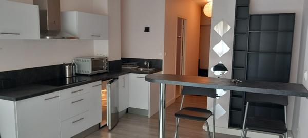 SAINT ETIENNE PROCHE FAC APPARTEMENT MEUBLE LIBRE Saint-Étienne (42100)