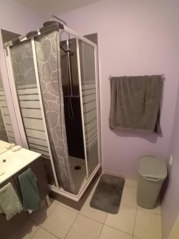 SAINT ETIENNE PROCHE FAC APPARTEMENT MEUBLE LIBRE Saint-Étienne (42100)