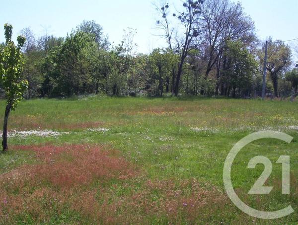Terrain à vendre  760 m 2   MONTANS  - 81