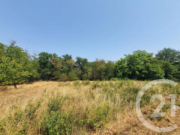 Terrain à vendre  760 m 2   MONTANS  - 81