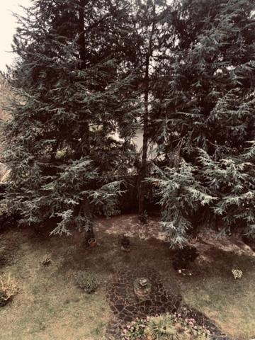 Appartement * 3 Pièces * 71 M² * 44000 Nantes * 805 * 45 * 850,  
Nantes 44000