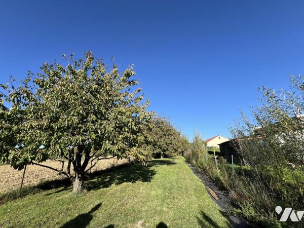 Un terrain situé en zone naturelle
