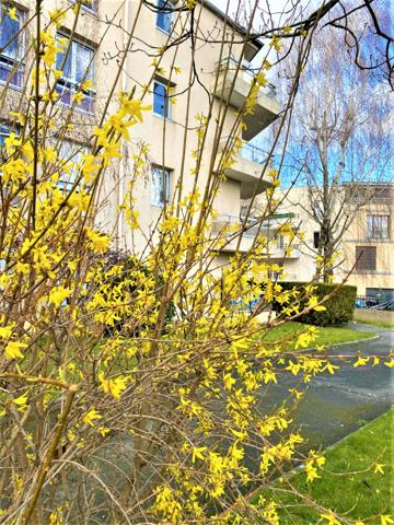 Le Kremlin-Bicêtre (94270) Kremlin-Bicêtre (94) : appartement 3 eme et dernier étage avec terrasse