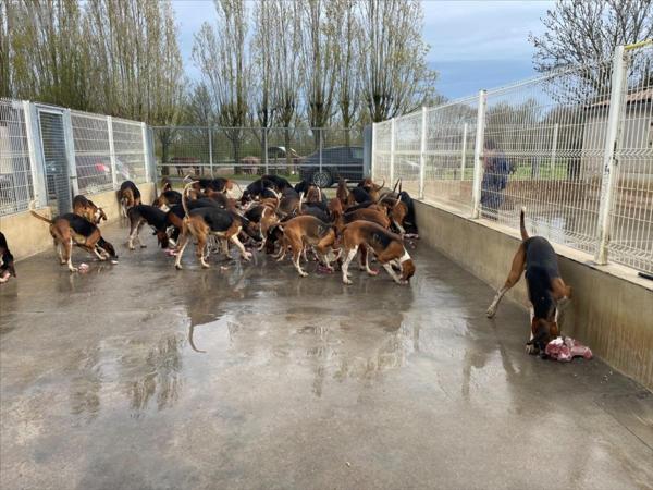 Corps de ferme à vendre à Andilly en Charente-Maritime (17230), ref : AN 460