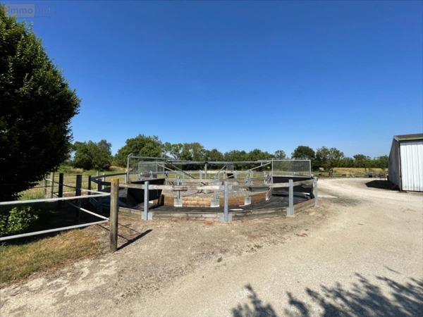 Corps de ferme à vendre à Andilly en Charente-Maritime (17230), ref : AN 460