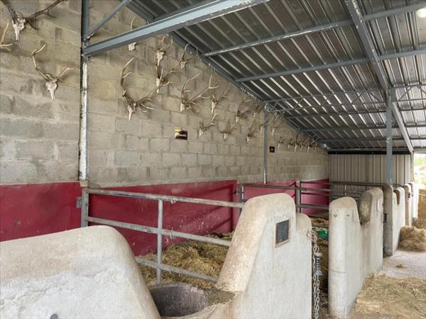 Corps de ferme à vendre à Andilly en Charente-Maritime (17230), ref : AN 460