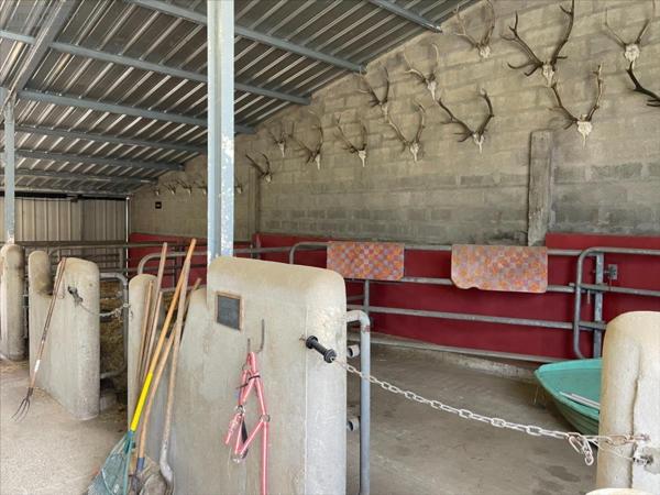 Corps de ferme à vendre à Andilly en Charente-Maritime (17230), ref : AN 460