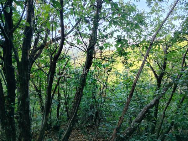 Terrain de 5 400 m²