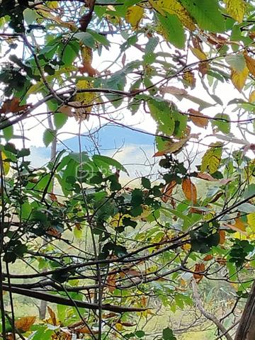 Terrain de 5 400 m²