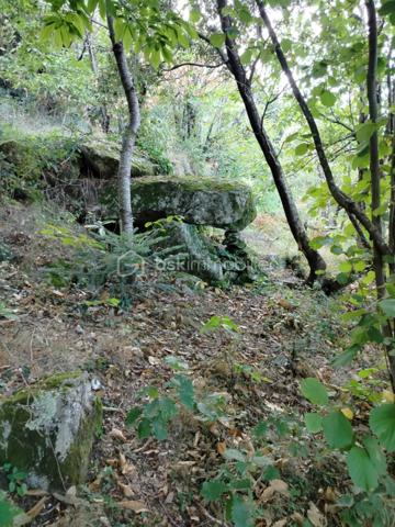 Terrain de 5 400 m²