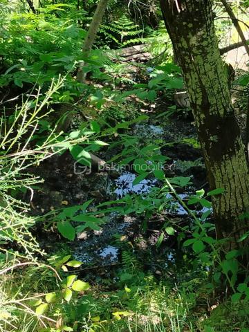 Terrain de 5 400 m²