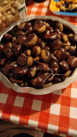 Terrain de 5 400 m²