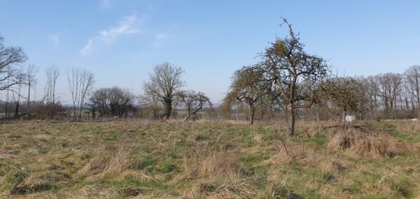 Villeneuve-sur-Fère (02130) TERRAIN CONSTRUCTIBLE AVEC DEUX FACADES