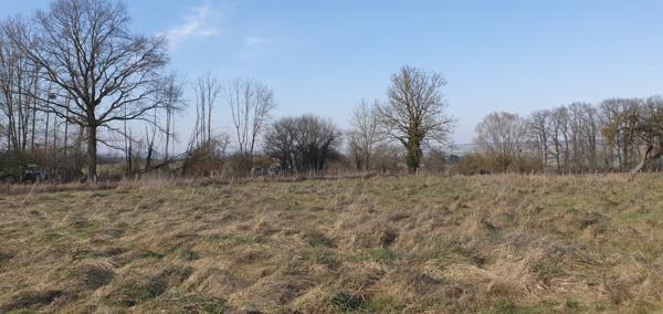 Villeneuve-sur-Fère (02130) TERRAIN CONSTRUCTIBLE AVEC DEUX FACADES