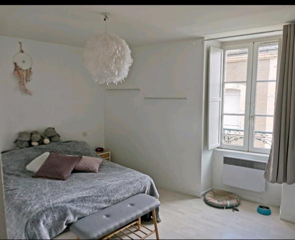 NUILLÉ-SUR-VICOIN – APPARTEMENT DE CHARME – LIBRE DE SUITE Détails des diagnostics énergétiques