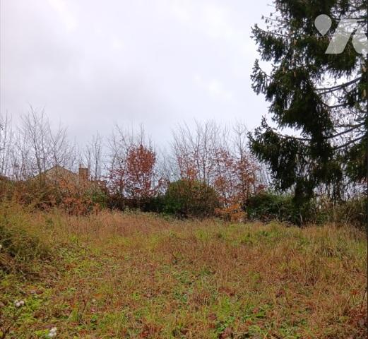 Trois garages
Jardin