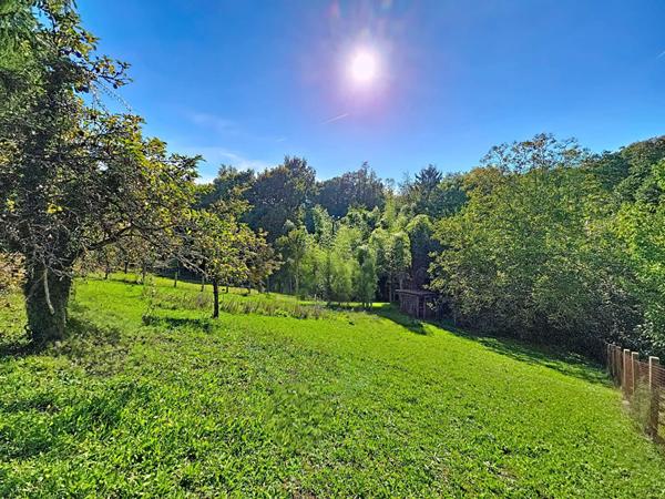 Maison familiale avec grand terrain arbore et fort potentiel a Castanet-Tolosan