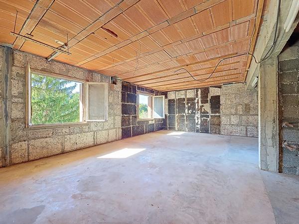 Maison familiale avec grand terrain arbore et fort potentiel a Castanet-Tolosan