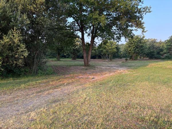 Restaurant guinguette à fort potentiel, axe stratégique