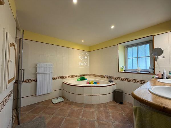 79400 AZAY LE BRULE Magnifique propriété en pierre - 250 m2 et cadre privilégié