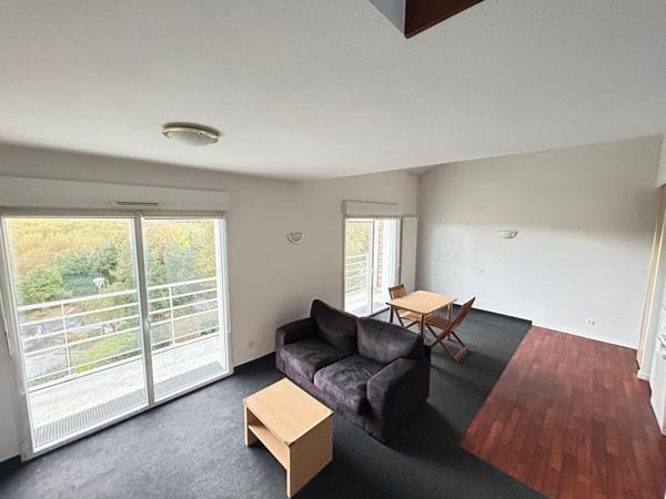 SPÉCIAL Investisseur - La Haie-Fouassière - Grand appartement T2