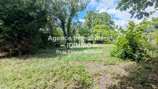 Ensemble immobilier avec 2 maisons indépendantes sur 964 m² à Sceaux-du-Gâtinais, 10 Mn Beaumont-du-Gâtinais Sceaux-du-Gâtinais (45490)