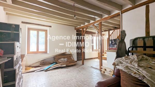 Ensemble immobilier avec 2 maisons indépendantes sur 964 m² à Sceaux-du-Gâtinais, 10 Mn Beaumont-du-Gâtinais Sceaux-du-Gâtinais (45490)