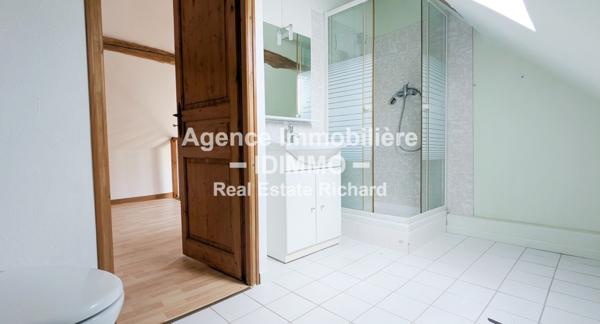 Ensemble immobilier avec 2 maisons indépendantes sur 964 m² à Sceaux-du-Gâtinais, 10 Mn Beaumont-du-Gâtinais Sceaux-du-Gâtinais (45490)