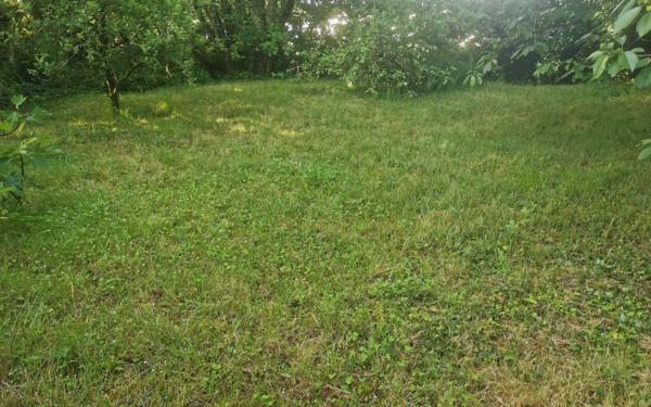 Maison à vendre    4 pièces •  Semussac