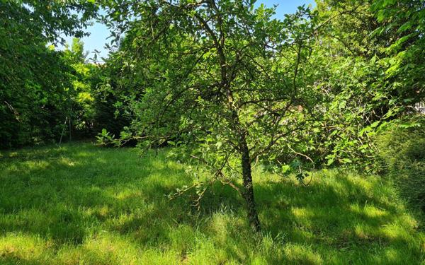 Maison à vendre    4 pièces •  Semussac