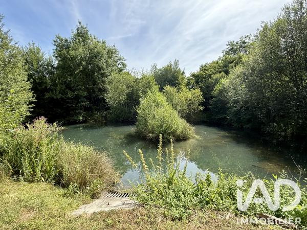 Maison à vendre 5 pièces 100 m² Ouilly-le-Vicomte