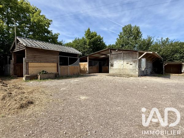 Maison à vendre 5 pièces 100 m² Ouilly-le-Vicomte