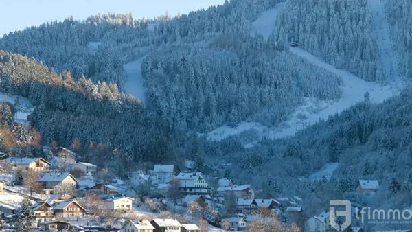 Superbe appartement Gérardmer