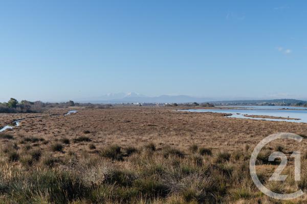 Maison à vendre  3 pièces - 39,33 m2 GRUISSAN - 11