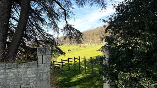 Propriété de 25 hectares avec château du XIXe siècle et dépendances
